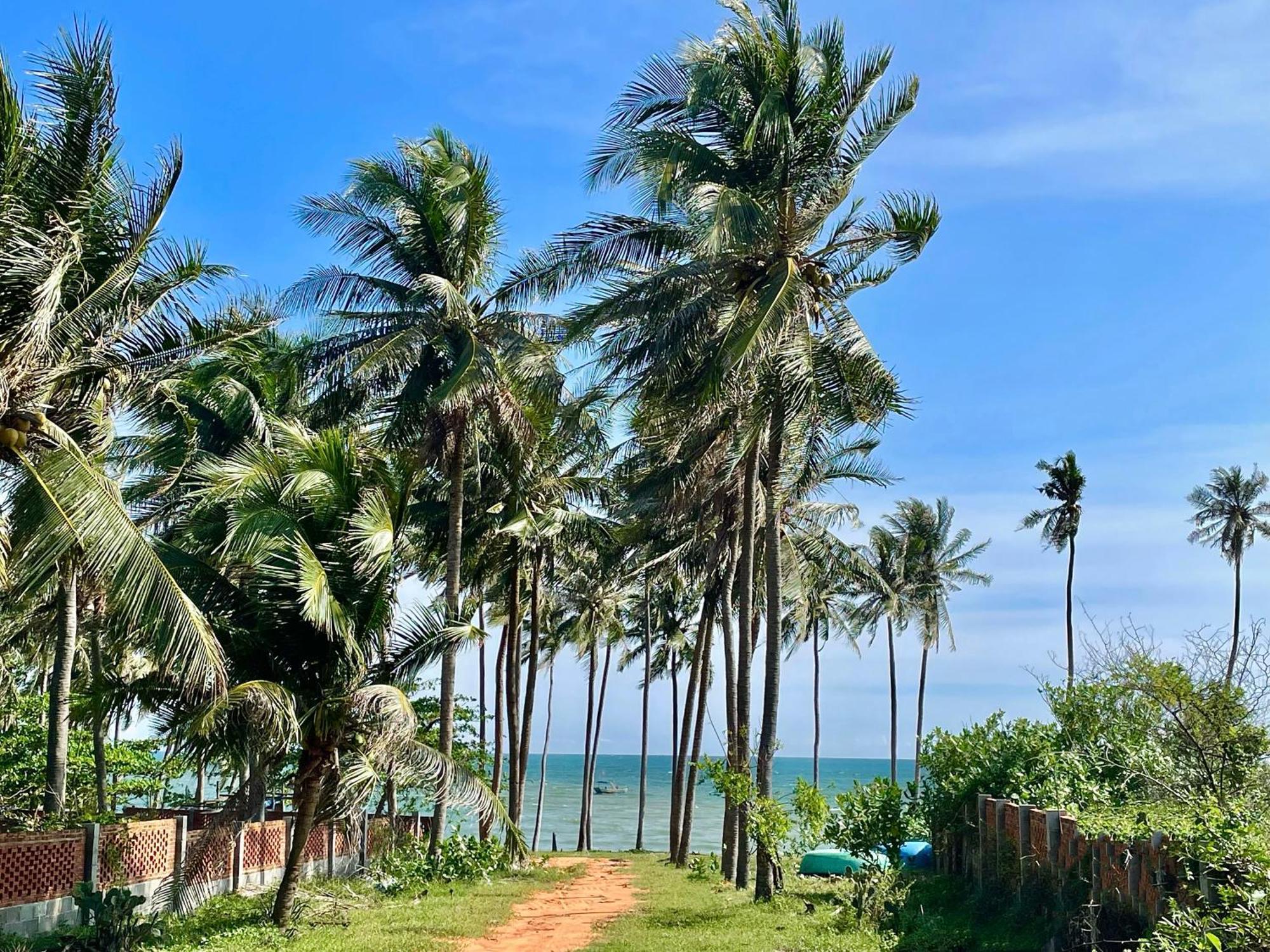 Moonbeam Homestay & Mini-Resort Mui Ne Фантхьет Экстерьер фото