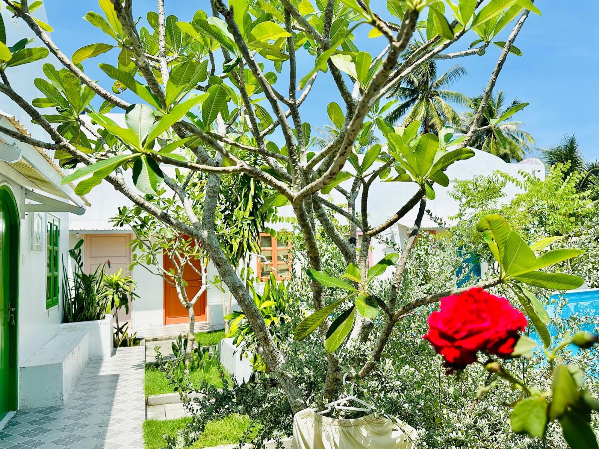 Moonbeam Homestay & Mini-Resort Mui Ne Фантхьет Экстерьер фото